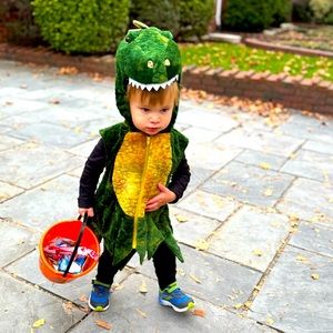 Toddler Dragon Costume